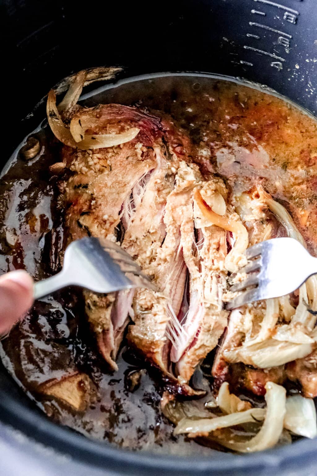 Honey Garlic Slow Cooker Pulled Pork (AIP, paleo) • Heal Me Delicious