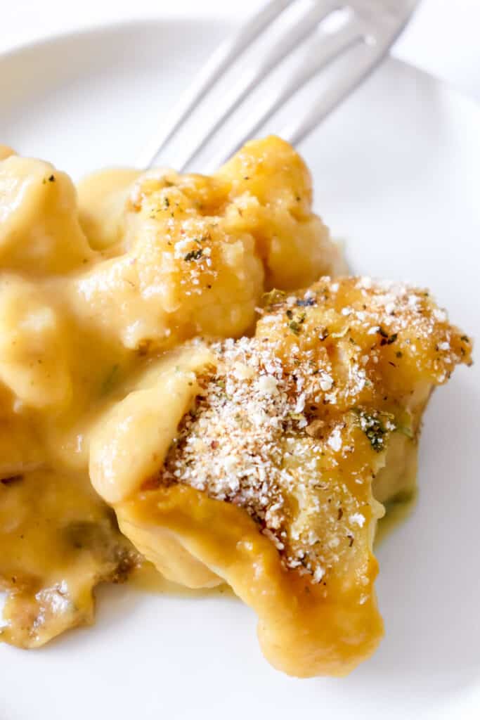 white plate with portion of cauliflower gratin and a fork