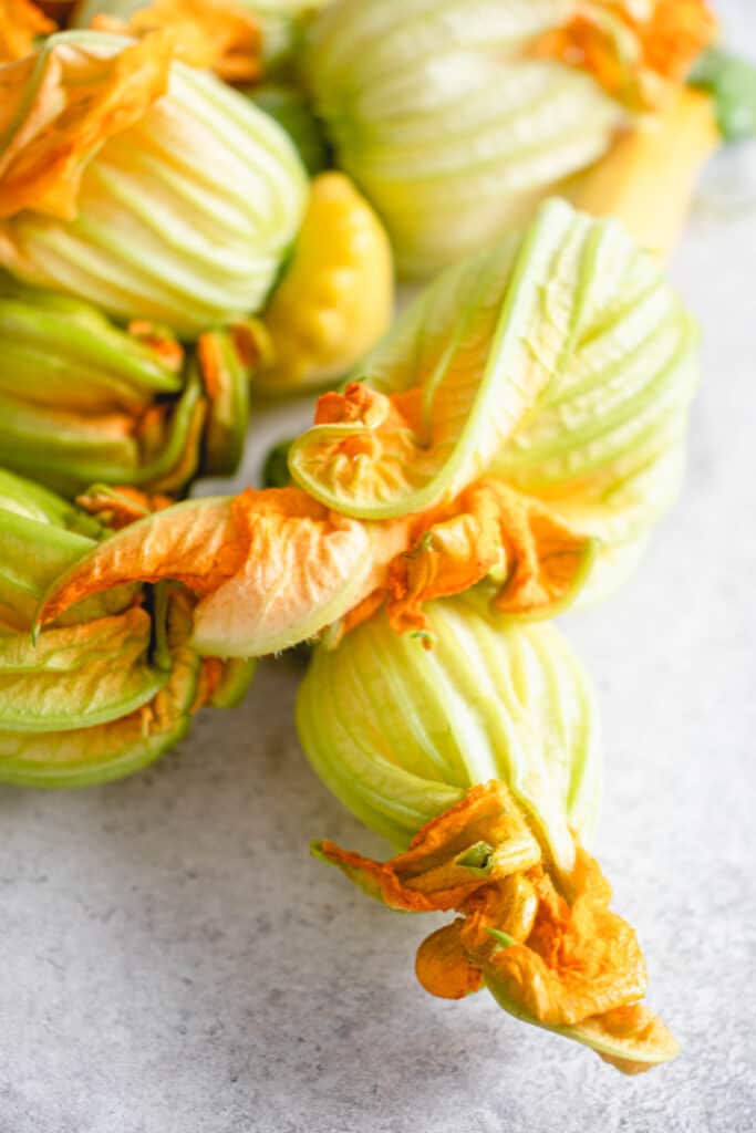 overhead shot of a pile of zucchini blossoms against a light grey speckled background