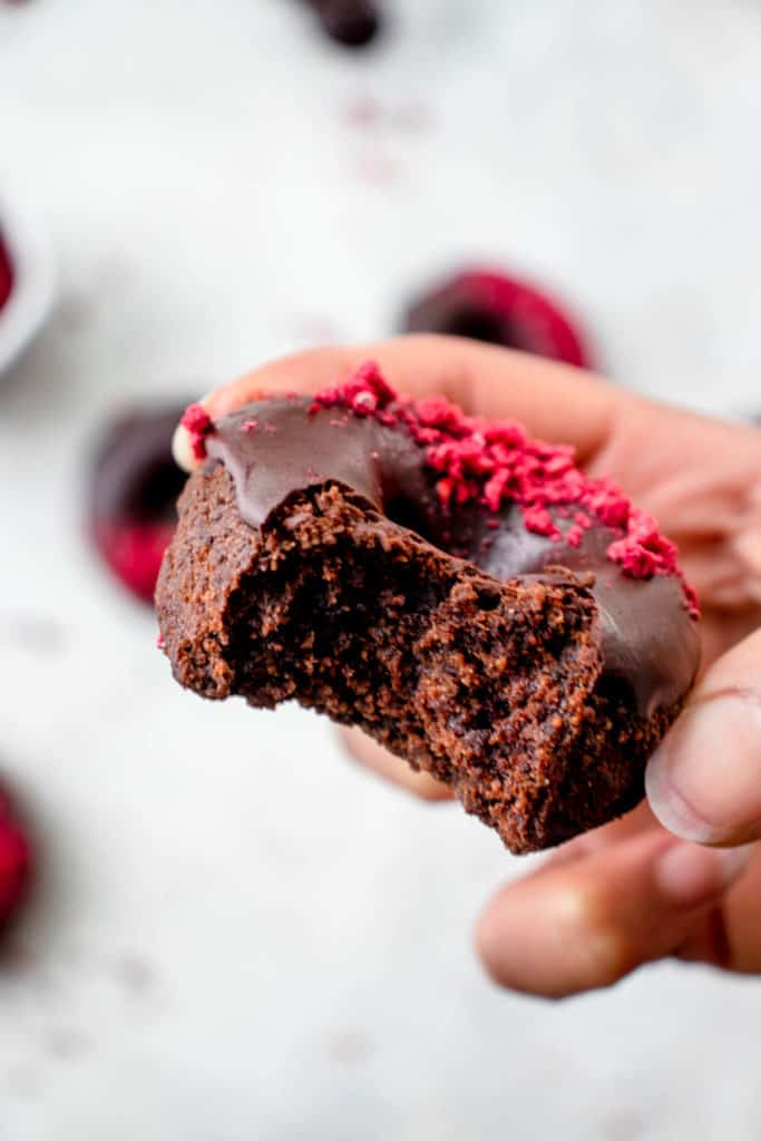 black hand holding chocolate donut with chocolate icing and freeze dried raspberries with a bite taken out of it revealing the texture of the donut