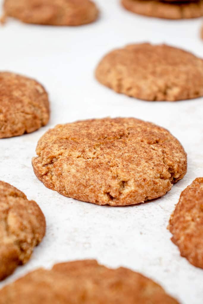 Dairy-free, Paleo, AIP Snickerdoodles on a speckled countertop. One cookie is in focus. It has a crackled texture and is golden brown in color.