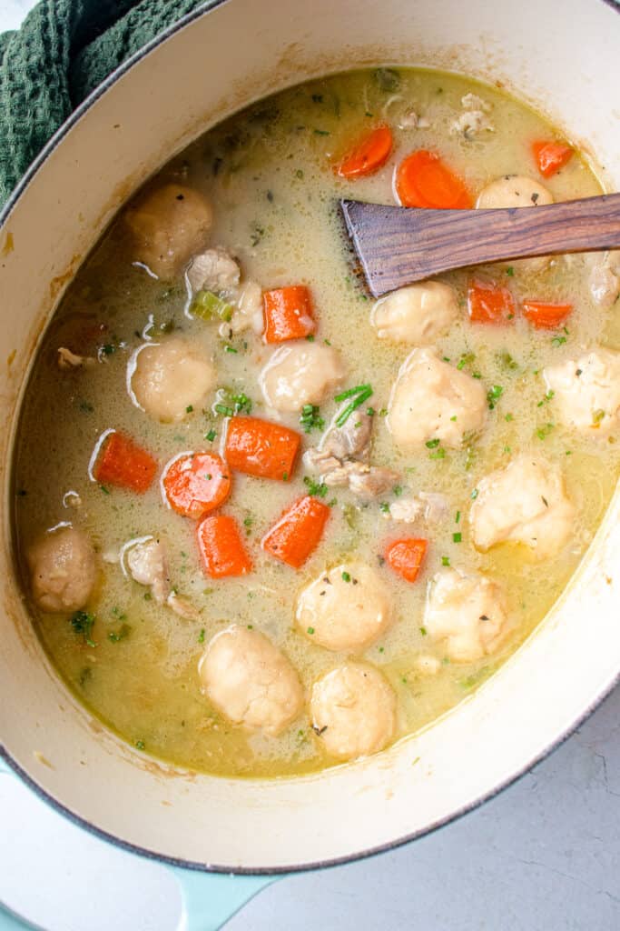 Stockpot of AIP/Paleo Chicken and Dumpling Soup.