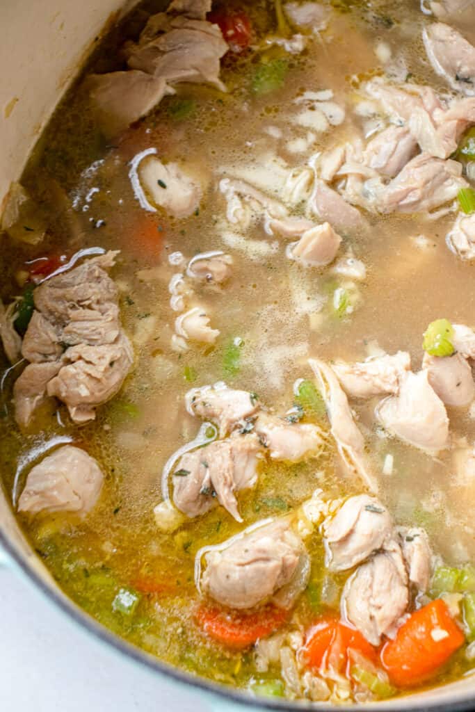 AIP/paleo soup with chicken and vegetable ingredients.