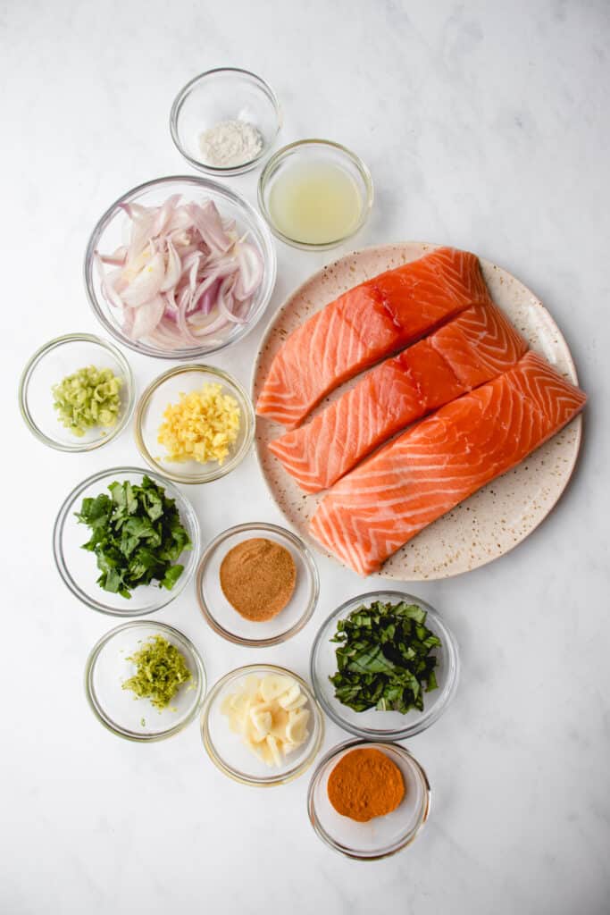 Overhead shot of ingredients used to make coconut curry salmon recipe.