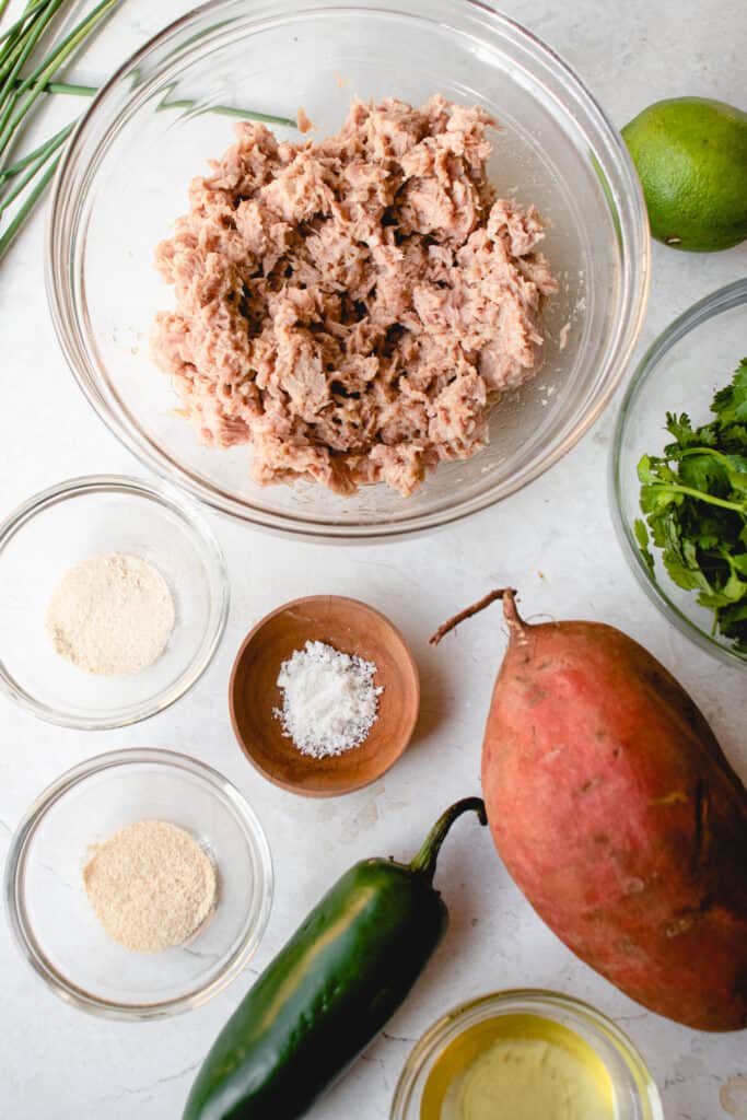 Mise en scene of ingredients to make this gluten-free and egg-free Tuna Patties recipe.