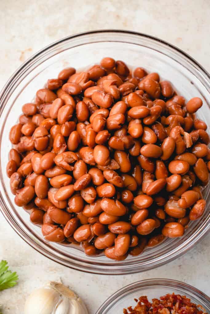 Closeup of a bowl of pinto beans.